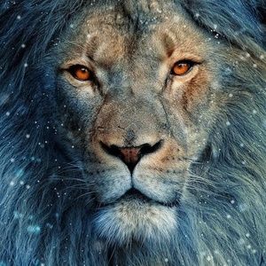 Meet your Posher, Fernando